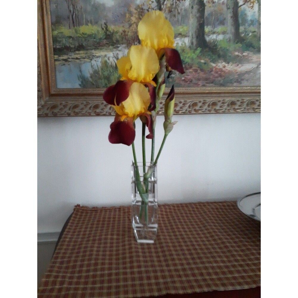 Heavy lead Crystal Bud Vase blocky Rectangular Shape glass flower vase block